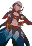 armor blush breasts cleavage gauntlets gigginox_(armor) hand_on_hip kei_(bekei) large_breasts monster_hunter monster_hunter_3 navel pink_eyes pov short_hair silver_hair solo thighhighs thighs 