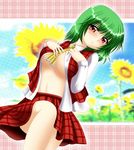  ascot between_breasts blush breasts cleavage clothes_between_breasts flower green_hair kagura_chitose kazami_yuuka large_breasts midriff no_bra open_clothes open_shirt plaid plaid_skirt plaid_vest red_eyes shirt skirt skirt_set solo sunflower touhou underboob vest 