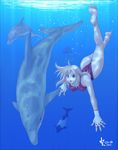  competition_swimsuit diving dolphin freediving high_cut_kingdom murasaki_nyaa nyanko_batake one-piece_swimsuit swimming swimsuit underwater 