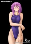  cameltoe competition_swimsuit high_cut_kingdom murasaki_nyaa nipples nyanko_batake one-piece_swimsuit swimsuit 
