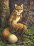  amber_eyes canid canine dark_natasha fox jewelry mammal moss necklace piercing rock solo staff tree 