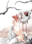  animal_ears autumn between_legs flat_chest hat inubashiri_momiji leaf mouth_hold nude pedodedo solo tail tail_between_legs thighhighs tokin_hat touhou white_hair wolf_ears wolf_tail yellow_eyes 