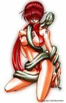  breasts king_of_fighters kof large_breasts orochi shermie snake snk 
