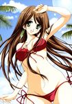  beach bikini blush bra brown_hair character_request earring green_eyes happy long_hair palm_tree swimsuit 