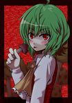  ascot censored censored_food fake_censor green_hair kazami_yuuka mushroom plaid plaid_vest red_eyes sexually_suggestive short_hair solo tongue tori_rui touhou vest 