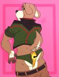  2019 absurd_res anthro bill_grey black_nose brown_fur butt canid canine canis clothed clothing digital_media_(artwork) domestic_dog fur hi_res jacket looking_at_viewer looking_back male mammal nintendo panties pinup pose presenting rear_view simple_background smile solo star_fox sylvanedadeer underwear undressing video_games white_fur 