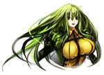  :d breasts green_hair large_breasts long_hair open_mouth orange_eyes original pupps smile solo 