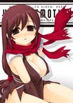  assassin_cross blush breast_squeeze breasts brown_eyes brown_hair cleavage elbow_gloves gloves kinoshita_ichi large_breasts long_hair ragnarok_online scarf solo 