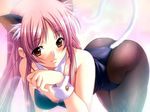  1girl animal_ears bent_over blush bra breasts brown_eyes cat_ears cat_tail clad dungeon_crusaderz erika_rouleburg game_cg kittysuit lingerie long_hair m&amp;m pantyhose pink_hair purple_hair solo tail thighhighs underwear 