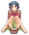  barefoot blue_(ao_maru) blue_eyes blue_hair convenient_censoring feet fushimi_yukari no_panties plant routes short_hair solo upskirt 