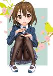  bird blush brown_eyes brown_hair castanets hair_ornament hairclip hirasawa_yui instrument k-on! panties panties_under_pantyhose pantyhose pantyshot pantyshot_(sitting) school_uniform shoes short_hair sitting skirt solo sugaishi underwear upskirt uwabaki white_panties 