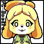  ! alpha_channel animal_crossing animated anthro blush buckteeth canid canine canis clothed clothing digital_media_(artwork) domestic_dog english_text female front_view fur hair icon isabelle_(animal_crossing) long_ears looking_at_viewer looking_down looking_up mammal multicolored_hair nintendo pc-doodle pixel pixel_(artwork) pixel_animation ponytail shih_tzu signature simple_background smile solo teeth text two_tone_hair video_games yellow_fur 