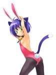  animal_ears ass bunny_ears bunny_girl bunny_tail bunnysuit cat_ears cat_tail flat_chest green_eyes korita kyouran_kazoku_nikki midarezaki_kyouka pantyhose purple_hair short_hair solo tail 