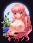  bad_id bad_pixiv_id bangs blue_flower blush breast_hold breasts cleavage closed_mouth collarbone ddal deep_skin eyebrows_visible_through_hair flower highres holding holding_hair huge_breasts long_hair looking_at_viewer louise_francoise_le_blanc_de_la_valliere moon nipples nude pink_eyes pink_hair plant smile solo tsurime zero_no_tsukaima 