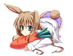  :3 animal_ears aqua_eyes brown_hair bunny_ears bunny_tail carrot kubyou_azami original panties solo tail underwear 