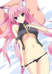  animal_ears blue_eyes breasts cat_ears headband kurochima long_hair medium_breasts megurine_luka panties panty_pull pink_hair solo underboob underwear undressing vocaloid 