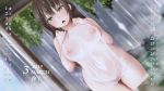  breast_hold breasts brown_hair calendar green_eyes kozue_akari long_hair nipples nude onsen original pubic_hair see_through towel waifu2x water waterfall wet 