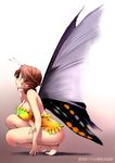  barefoot bottomless breasts brown_eyes brown_hair butterfly_wings copyright_request drill_hair fairy kneeling large_breasts looking_away minigirl short_hair solo squatting togusa_masamu wings 