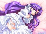  ass bed blue_eyes blush cameltoe censored crown dress embarrassed etoile_lene_roshtoll flat_chest frills from_above hagiya_masakage hair_ornament long_hair lying masturbation on_side panties pantyshot pantyshot_(lying) purple_eyes purple_hair pussy_juice see-through solo underwear vanish! very_long_hair watermark wavy_hair white_panties 