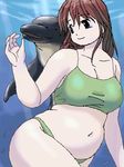  1girl belly bikini breasts brown_eyes brown_hair chubby dolphin fat kato_hayabusa large_breasts lowres navel original plump solo swimsuit underwater 