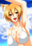  animal_ears arm_up armpits bad_id bad_pixiv_id banned_artist bikini blonde_hair breasts cleavage cloud day large_breasts s_tanly short_hair sky smile solo swimsuit touhou yakumo_ran yellow_eyes 