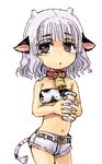 animal_ears animal_print bell bell_collar collar cow_ears cow_girl cow_print horns ike_(altitude_attitude) lowres midriff milk navel original shorts solo tail white_hair 