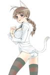  animal_ears bra braid breasts brown_hair cat_ears large_breasts lingerie long_hair lynette_bishop open_clothes open_shirt panties satou_atsuki shirt single_braid solo strike_witches striped striped_legwear tail thighhighs underwear world_witches_series 
