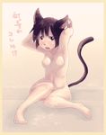  animal_ears armpits arms_up black_hair breasts brown_eyes cat_ears cat_tail copyright_request embarrassed nude r_(azmr) short_hair sitting small_breasts solo tail 