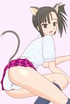  animal_ears blush cat_ears cat_tail mahou_sensei_negima mahou_sensei_negima! panties sakurazaki_setsuna side_ponytail skirt tail underwear 