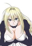  blonde_hair blue_eyes breasts cleavage large_breasts long_hair misnon_the_great sekirei solo tsukiumi 