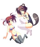  ahoge animal_ears bad_id bad_pixiv_id bikini blue_eyes breasts brown_hair hair_ribbon hayakawa_harui lyrical_nanoha mahou_shoujo_lyrical_nanoha medium_breasts multiple_girls one-piece_swimsuit purple_eyes raccoon_ears raccoon_tail ribbon school_swimsuit short_hair swimsuit tail takamachi_nanoha thighhighs twintails yagami_hayate 