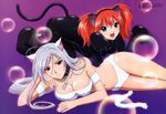  absurdres akashiya_moka animal_ears bikini breasts cleavage fang green_eyes highres inner_moka kiyomaru_satoru large_breasts long_hair lying megami multiple_girls navel orange_hair red_eyes rosario+vampire shuzen_kokoa siblings silver_hair sisters swimsuit tail very_long_hair 