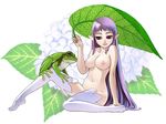  bad_id bad_pixiv_id breasts copyright_request flower frog hydrangea janome_gochou large_breasts leaf long_hair nude pointy_ears purple_eyes purple_hair sitting solo thighhighs 