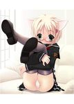  animal_ears blush copyright_request glasses knees_to_chest leg_hug legs_together legs_up m_ecchi_kei panties solo thighhighs underwear 