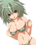  bad_id bad_pixiv_id bikini breasts cleavage copyright_request dutch_angle green_eyes green_hair large_breasts long_hair narura solo swimsuit 