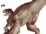  2019 absurd_res amber_eyes anus biped brown_scales brown_tail claws color_swatch digital_media_(artwork) dinosaur erection fangs feral hi_res looking_back male model_sheet narse open_mouth penis pink_penis pink_tongue rear_view reptile scales scalie simple_background solo teeth theropod thick_tail toe_claws tongue tyrannosaurid tyrannosaurus tyrannosaurus_rex white_background 