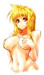  blonde_hair breasts covering covering_breasts fate_testarossa large_breasts lowres lyrical_nanoha mahou_shoujo_lyrical_nanoha_strikers nekomamire nude red_eyes simple_background solo 