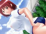  adjusting_buruma adjusting_clothes ass breasts buruma chichi_ijime_bakunyuu_shimai_kyouentan covered_nipples dutch_angle game_cg genzou gym_uniform kagano_kotone large_breasts panties pink_eyes pink_panties red_hair see-through short_hair solo underwear 