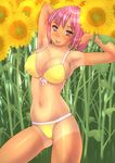  armpits arms_up bikini blush breasts cleavage copyright_request covered_nipples cowboy_shot flower large_breasts navel open_mouth outdoors pink_eyes pink_hair shiny shiny_skin shirt_tan short_hair shorts_tan solo striped striped_bikini sunflower sweat swimsuit tan tanline tsujizen wet yellow_bikini 