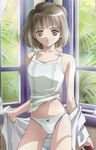  brown_eyes dress_shirt inma_seiden kameyama_hitomi lingerie lowres panties shin_seiki_inma_seiden short_hair underwear undressing 