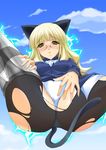  animal_ears blonde_hair glasses long_hair maho_(yakimorokoshi) panties pantyhose perrine_h_clostermann solo strike_witches tail torn_clothes torn_legwear underwear world_witches_series yellow_eyes 