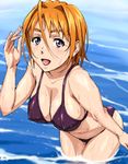  bikini breasts cleavage covered_nipples dripping hair_between_eyes large_breasts leaning_forward my-hime nigou open_mouth orange_hair purple_eyes solo swimsuit tokiha_mai water wet 