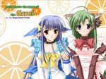  animal_ears black_eyes blue_hair cat_ears choker green_hair half_updo long_hair maid multiple_girls nerine non-web_source pointy_ears purple_eyes red_eyes shigure_asa shuffle! suzuhira_hiro wallpaper 