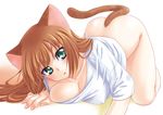  all_fours animal_ears bent_over bottomless breast_press breasts brown_hair cat_ears cleavage green_eyes hikabe_sakuho large_breasts long_hair original solo tail top-down_bottom-up 