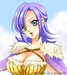  blush breasts cleavage final_fantasy final_fantasy_crystal_chronicles green_eyes lowres purple_hair selkie short_hair 