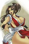  breasts brown_eyes brown_hair cleavage fatal_fury large_breasts long_hair michael ninja pelvic_curtain ponytail revealing_clothes shiranui_mai solo the_king_of_fighters thighs 