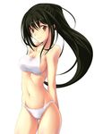  aizawa_kotarou bikini black_hair breasts brown_eyes copyright_request long_hair medium_breasts navel ponytail solo swimsuit wet 