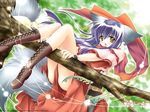  animal_ears blue_hair blush boots cat_ears in_tree koma_(tail_tale) long_hair louis&amp;visee sitting sitting_in_tree solo tail tail_tale tree wallpaper yellow_eyes 