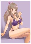  1girl bikini breasts brown_hair fire_emblem fire_emblem:_kakusei highres nintendo sumia swimsuit 