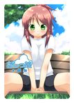  akino_sora bad_id bad_pixiv_id bench bike_shorts breast_squeeze breasts brown_hair cameltoe copyright_request grass green_eyes large_breasts park_bench smile solo spread_legs 